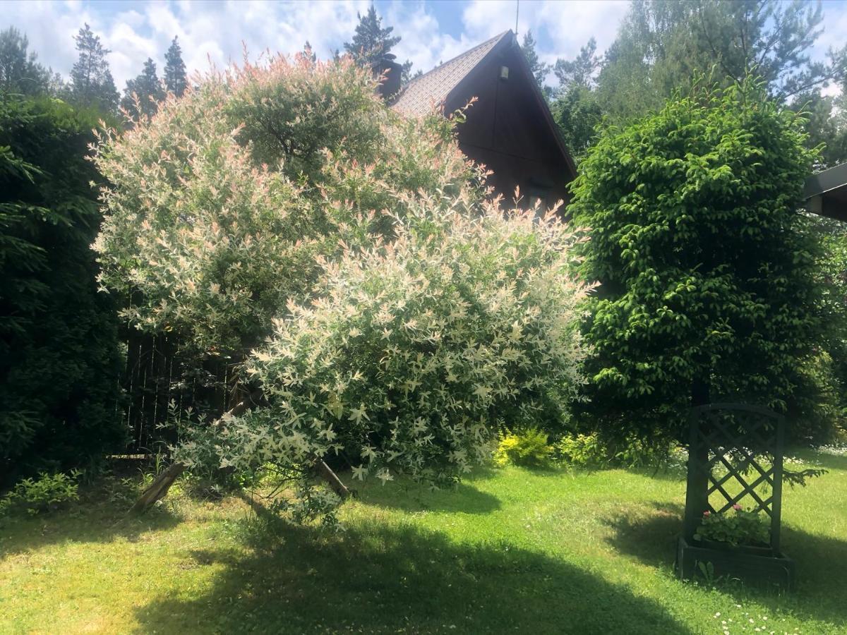Dom Z Bali Villa Bajkowy Dom Dzwierzuty Luaran gambar